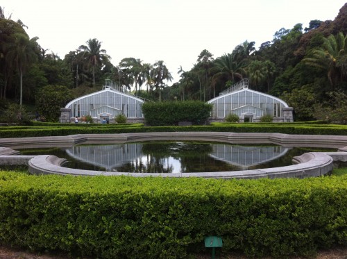 IMG 4036 500x373 - Jardim Botânico de São Paulo