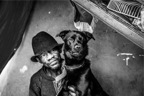 Imagem retratos de moradores de ruas e seus cães 4 500x333 - Retratos de moradores de ruas e seus cães
