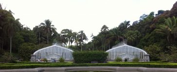 IMG 4036 364x150 - Jardim Botânico de São Paulo