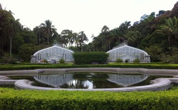 IMG 4036 364x225 - Jardim Botânico de São Paulo