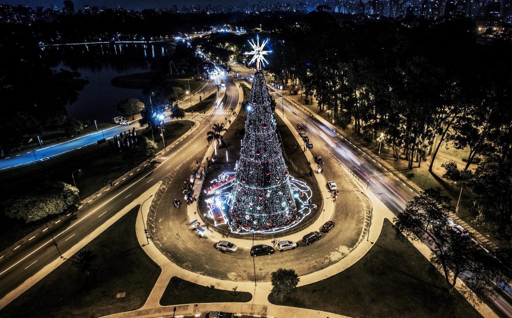 Árvore do Ibirapuera 1024x635 - São Paulo é um dos destinos preferidos para comemorar Natal e Réveillon