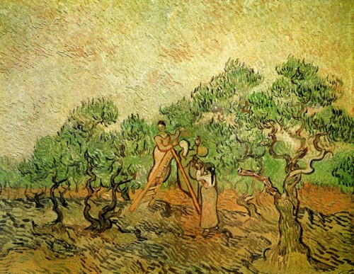 olive pickers van gogh 500x387 - São Paulo receberá Van Gogh no CCBB