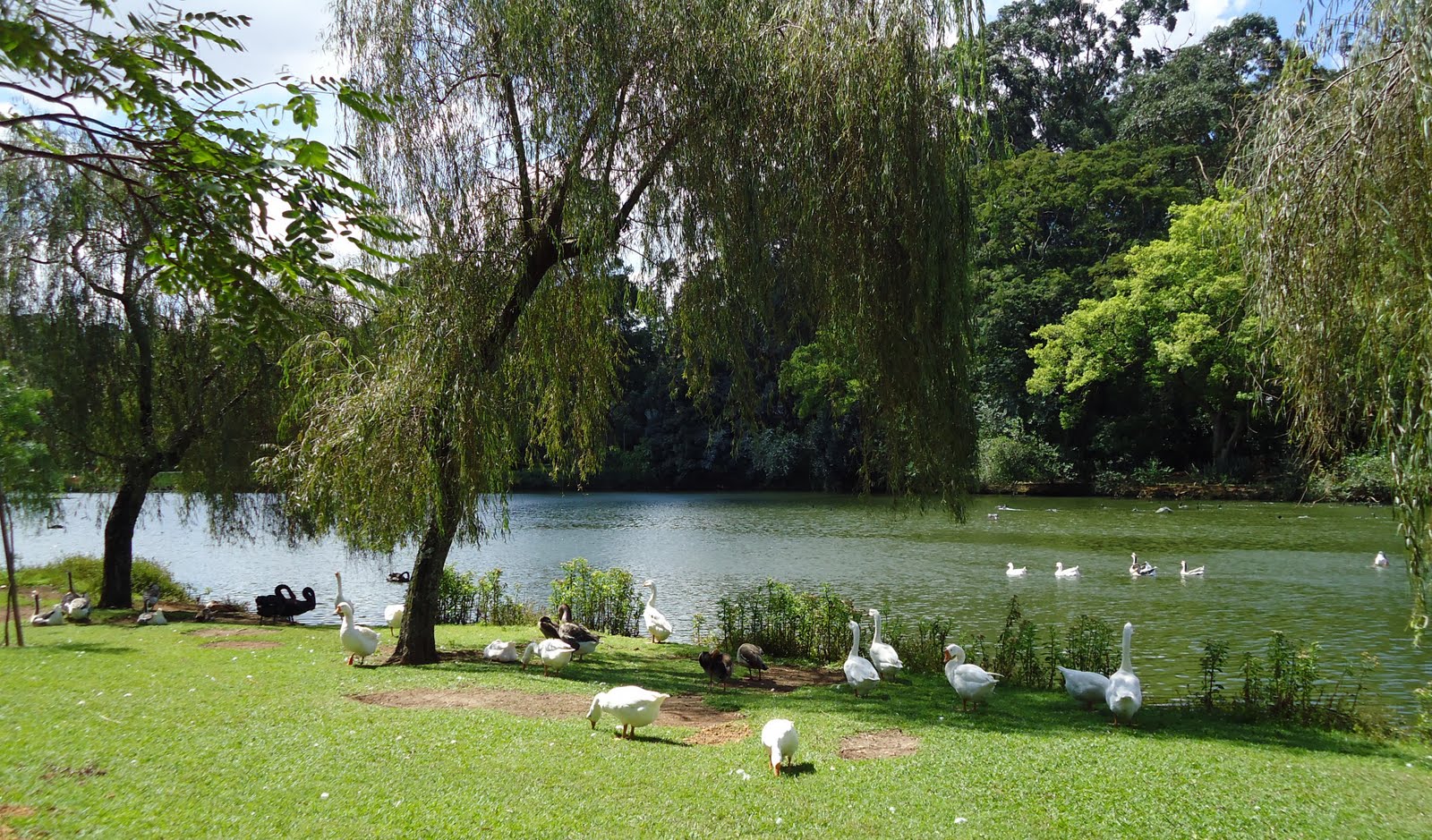 parque do ibirapuera com - Um sábado no Parque do Ibirapuera