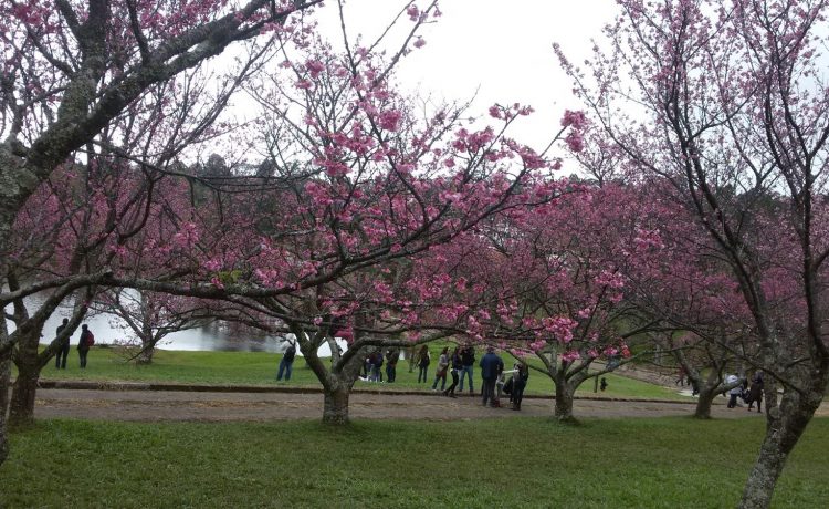 parque do carmo