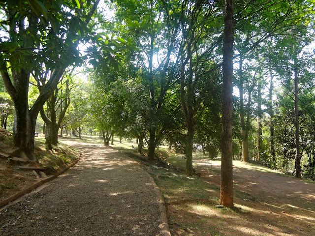 www areasverdesdascidades com br - Conheça o Parque Anhanguera