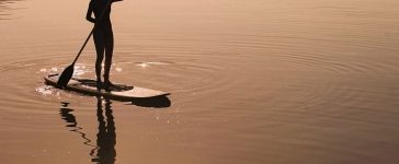 stand up paddle