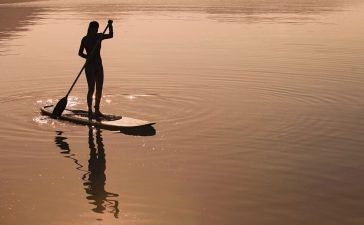stand up paddle