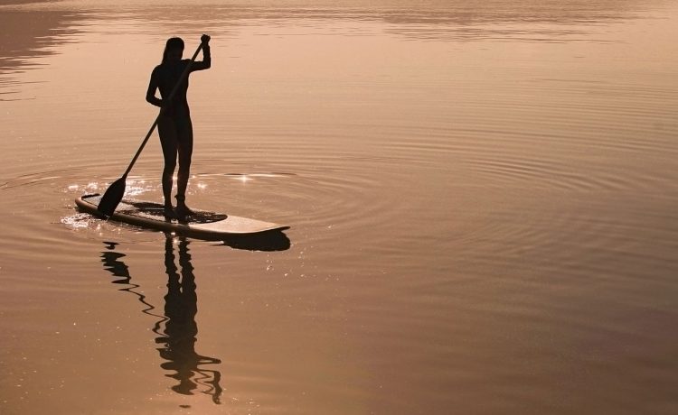 stand up paddle