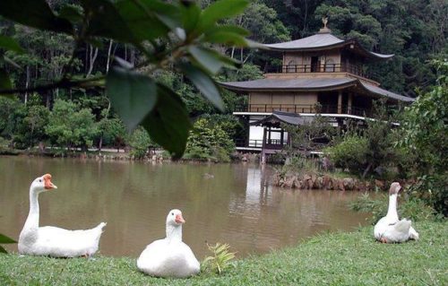 turismo culturamix com 3 500x319 - Conheça as belezas do Templo Kinkaku-ji