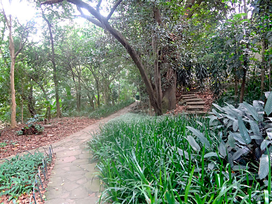 areas verdes das cidades 4 - Conheça o Parque Lina e Paulo Raia