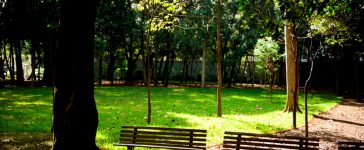 Conheça sete museus com jardins para um passeio romântico
