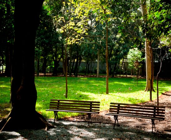 Conheça sete museus com jardins para um passeio romântico