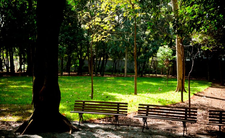 Conheça sete museus com jardins para um passeio romântico