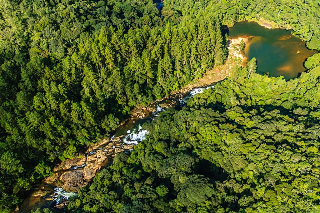 Cachoeiras, trilhas e muito contato com a Natureza em São Paulo