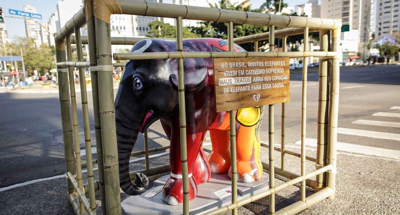 Amarula e Santuário de Elefantes enjaulam obras da Elephant Parade