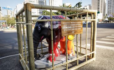 Amarula e Santuário de Elefantes enjaulam obras da Elephant Parade
