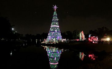 Foi inaugurada a Árvore de Natal do Parque do Ibirapuera