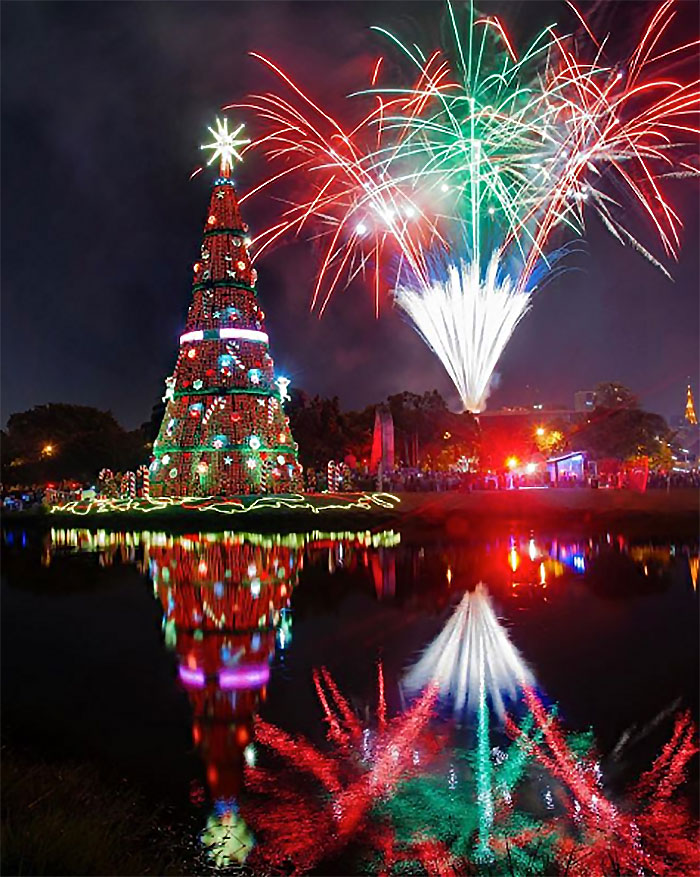 Foi inaugurada a Árvore de Natal do Parque do Ibirapuera