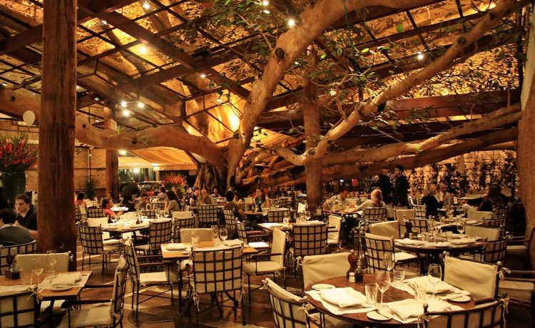 Figueira Rubaiyat, um dos mais belos restaurantes de São Paulo!