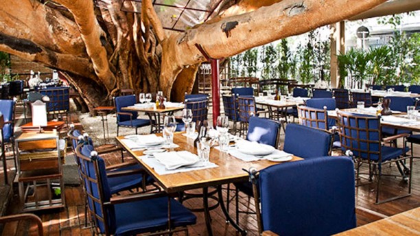 the fork - Figueira Rubaiyat, um dos mais belos restaurantes de São Paulo!