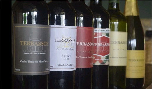 vinicola terrassos 1 - Uma vinícola na Serra da Mantiqueira!