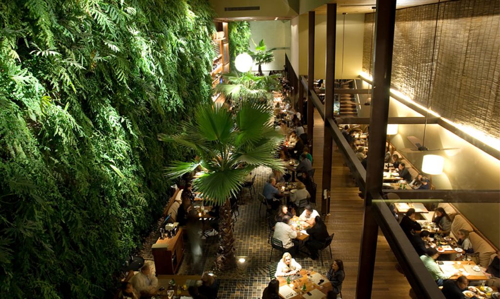 Moderno, primitivo, lindo e gostoso, mais um restaurante de São Paulo