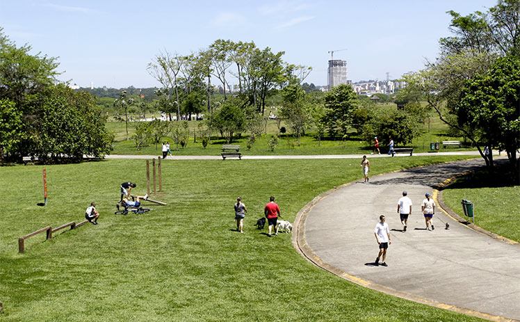 parque villa lobos - Conheça 5 lindos parques de São Paulo