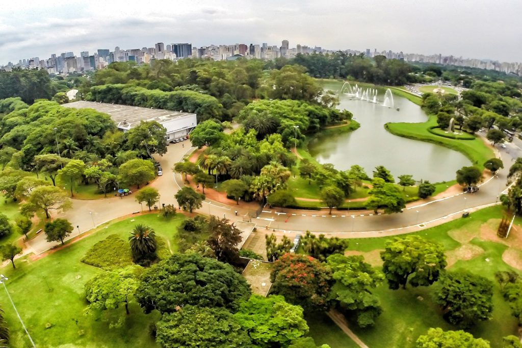 parqueibirapuera 1024x682 - Conheça 5 lindos parques de São Paulo