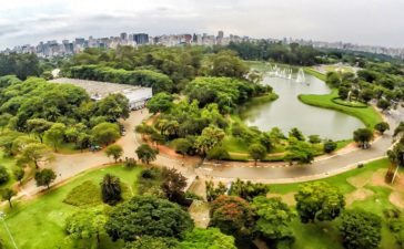 parqueibirapuera 364x225 - Conheça 5 lindos parques de São Paulo