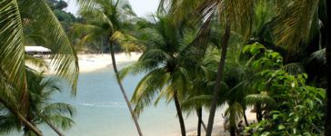 tropical 264540 1920 364x150 - 5 praias secretas de SP para conhecer no verão nas próximas férias